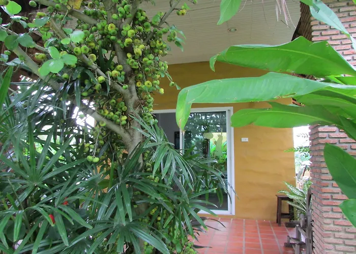 The Park Drive-Thru Check-In Resort